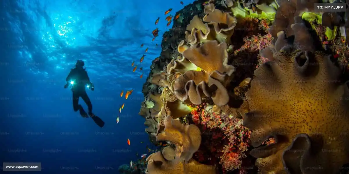 米兰体育🏀热血赛场，永不言败 —— 你的热爱，值得被世界看见！